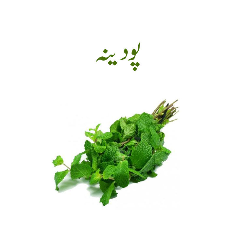 Mint (Phodina) Subziphal - Per Piece