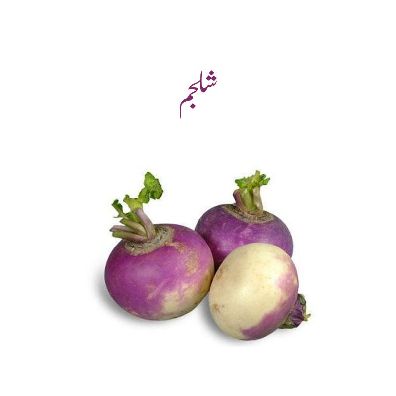 Turnip (Shalgham) - 1 Qtr