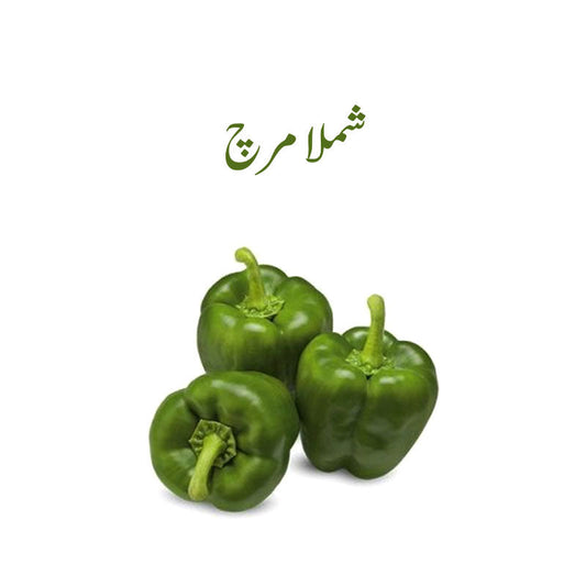 Capsicum (Shimla Mirch)  -1 Qtr